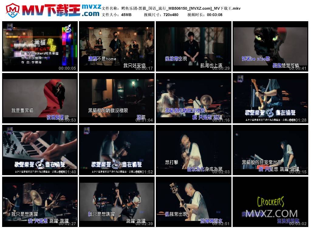 鳄鱼乐团-黑猫_国语_流行_MB506150